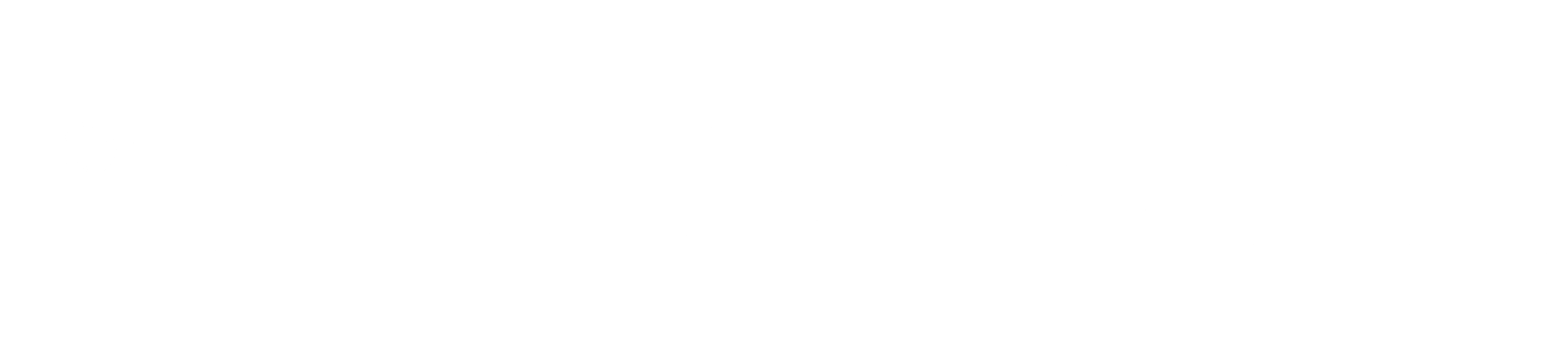 Logótipos FEDR